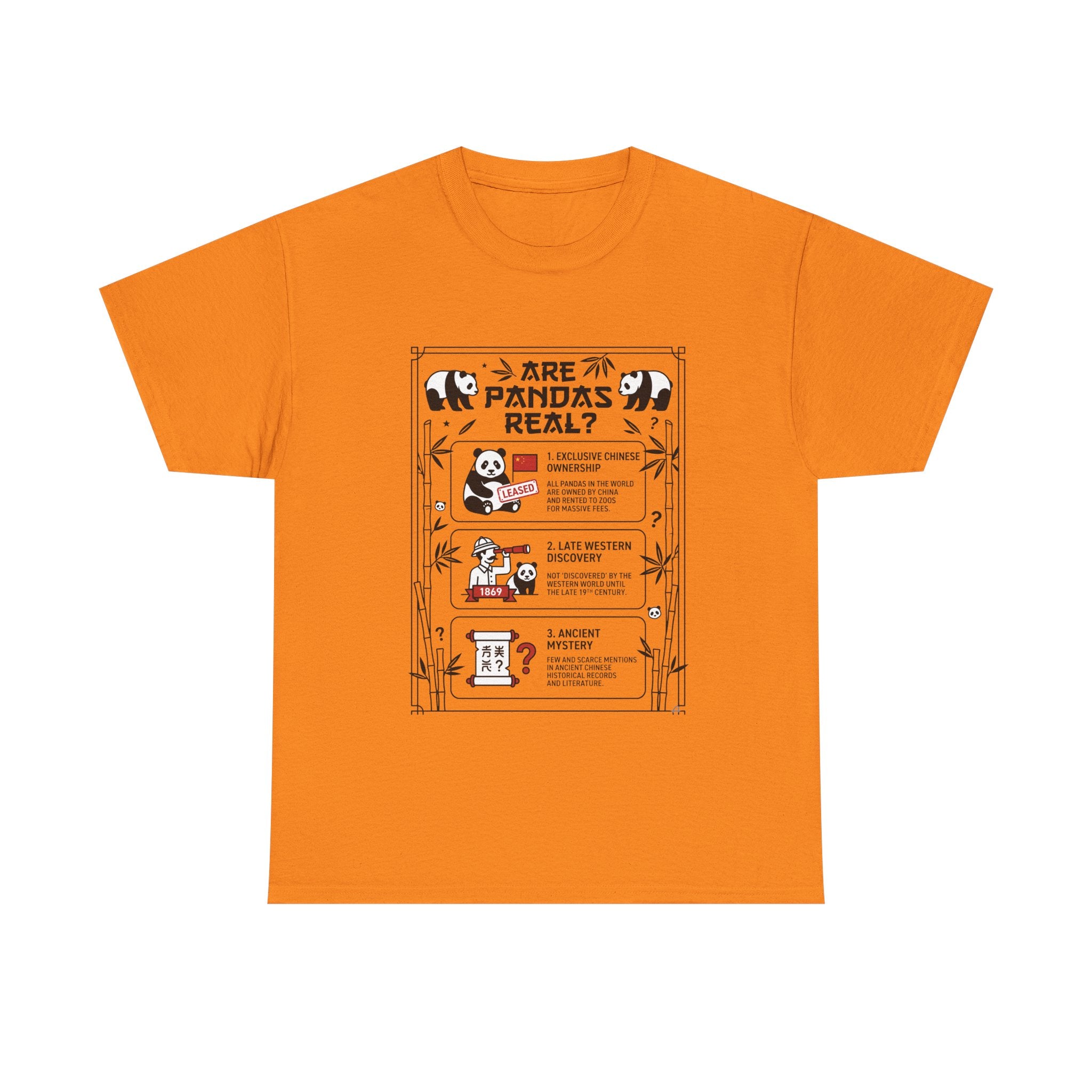 Are Pandas Real? Illustrated Infographic Tee - Funny Panda Facts T-Shirt