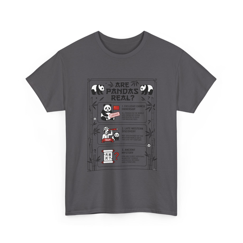 Are Pandas Real? Illustrated Infographic Tee - Funny Panda Facts T-Shirt