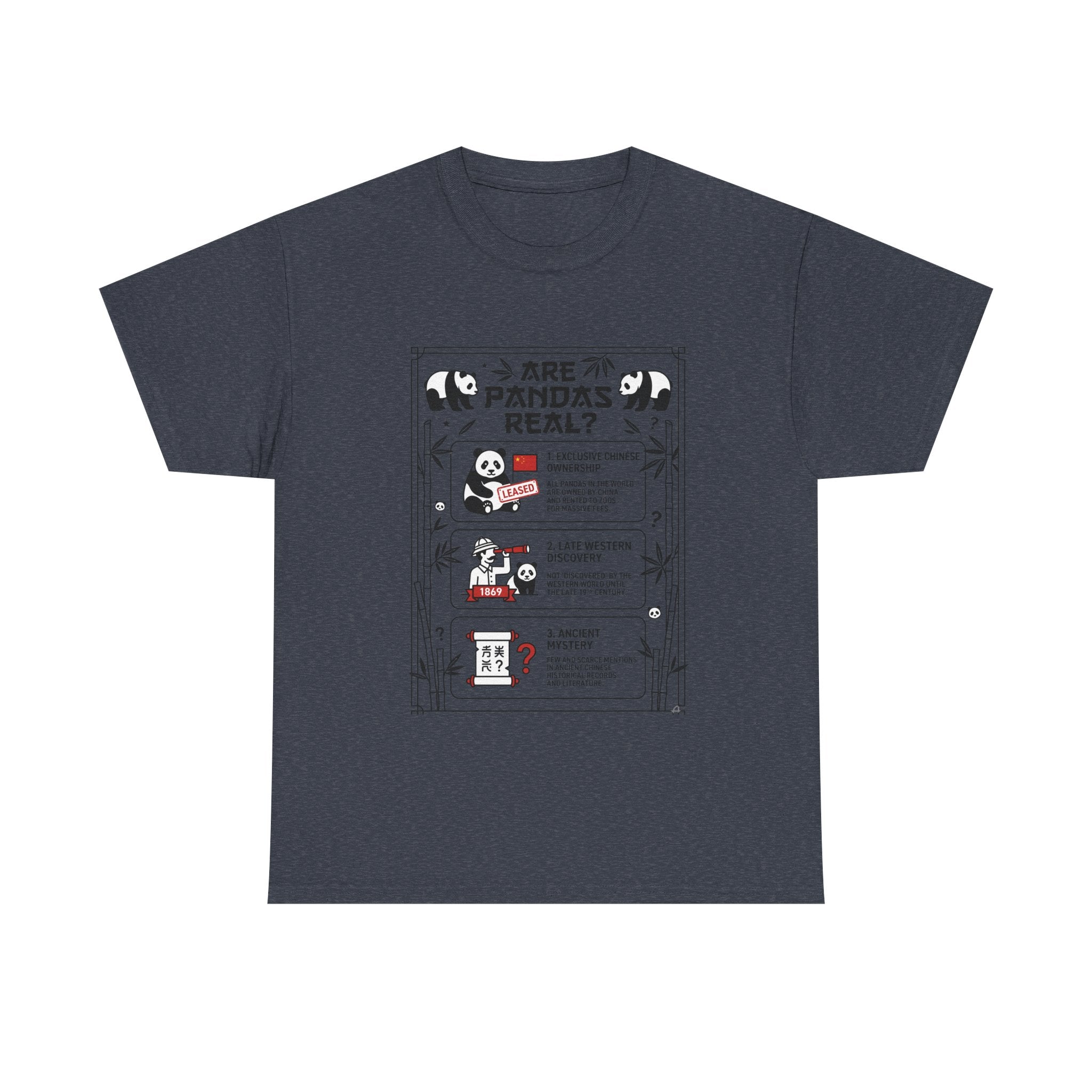 Are Pandas Real? Illustrated Infographic Tee - Funny Panda Facts T-Shirt