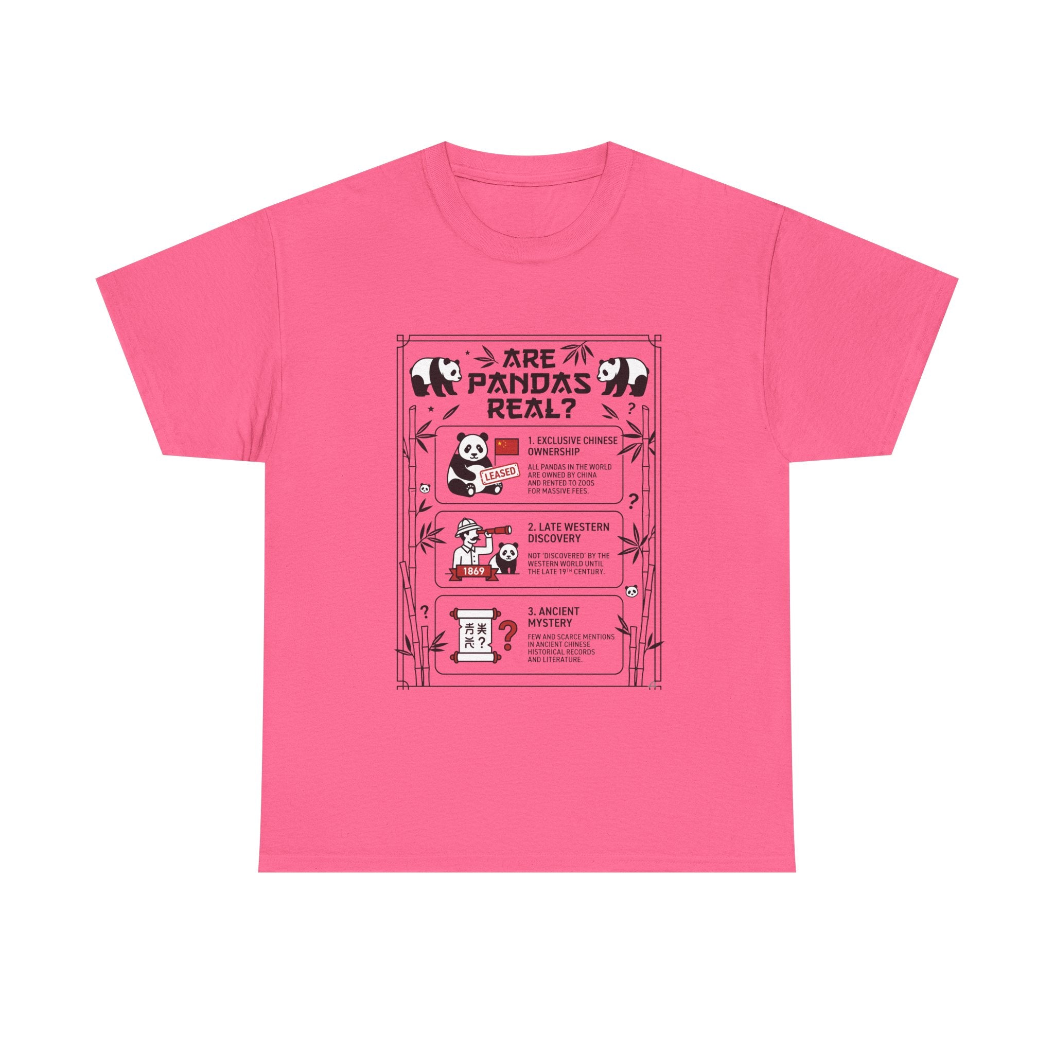 Are Pandas Real? Illustrated Infographic Tee - Funny Panda Facts T-Shirt