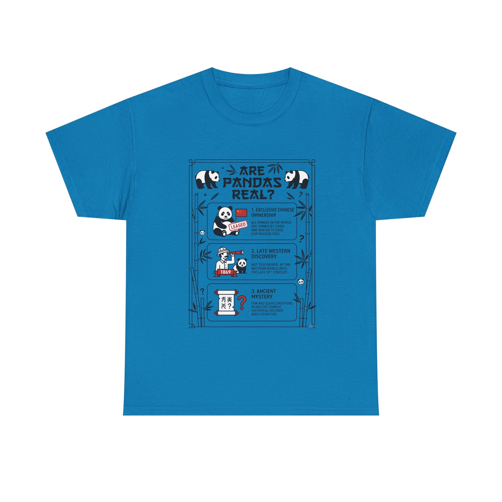 Are Pandas Real? Illustrated Infographic Tee - Funny Panda Facts T-Shirt