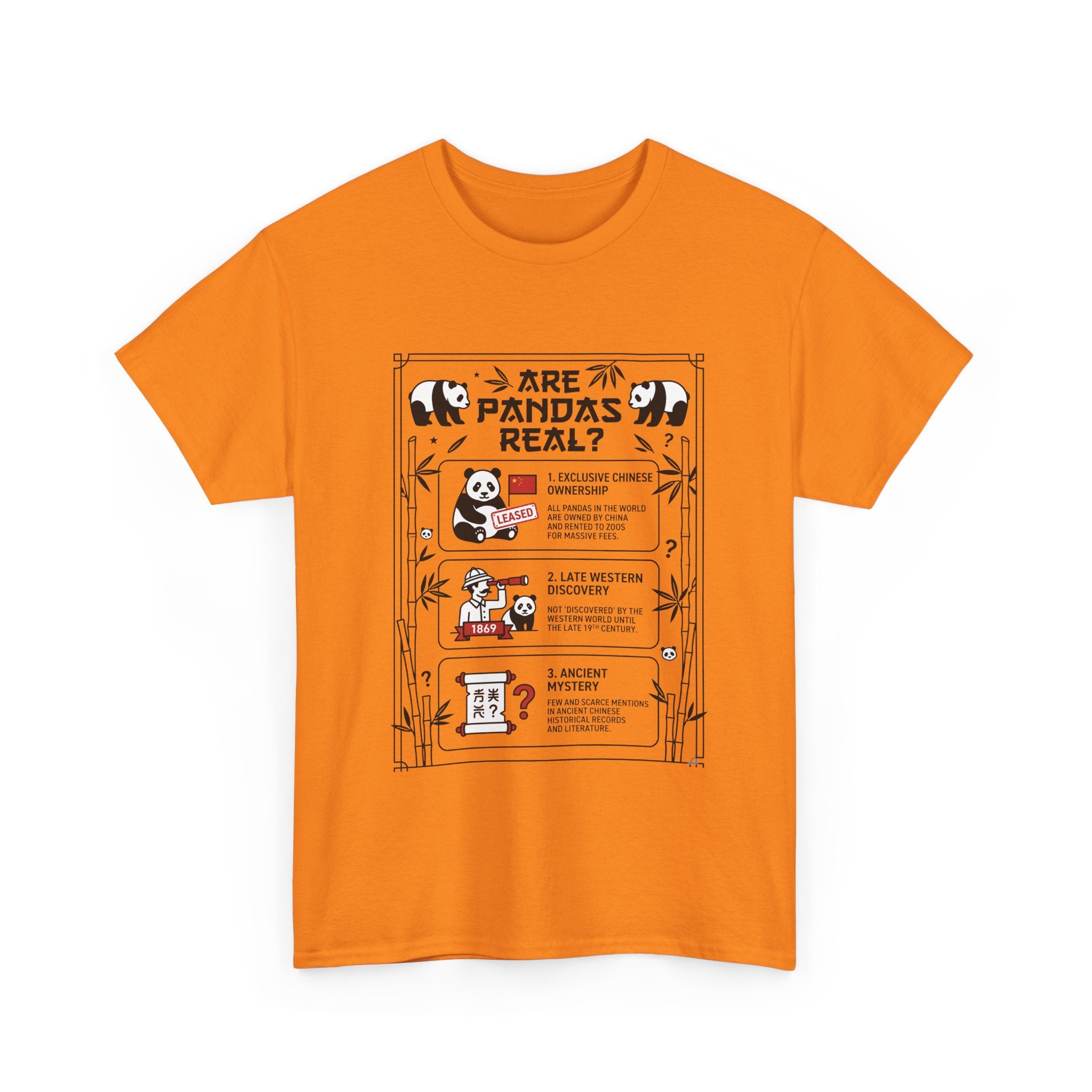 Are Pandas Real? Illustrated Infographic Tee - Funny Panda Facts T-Shirt