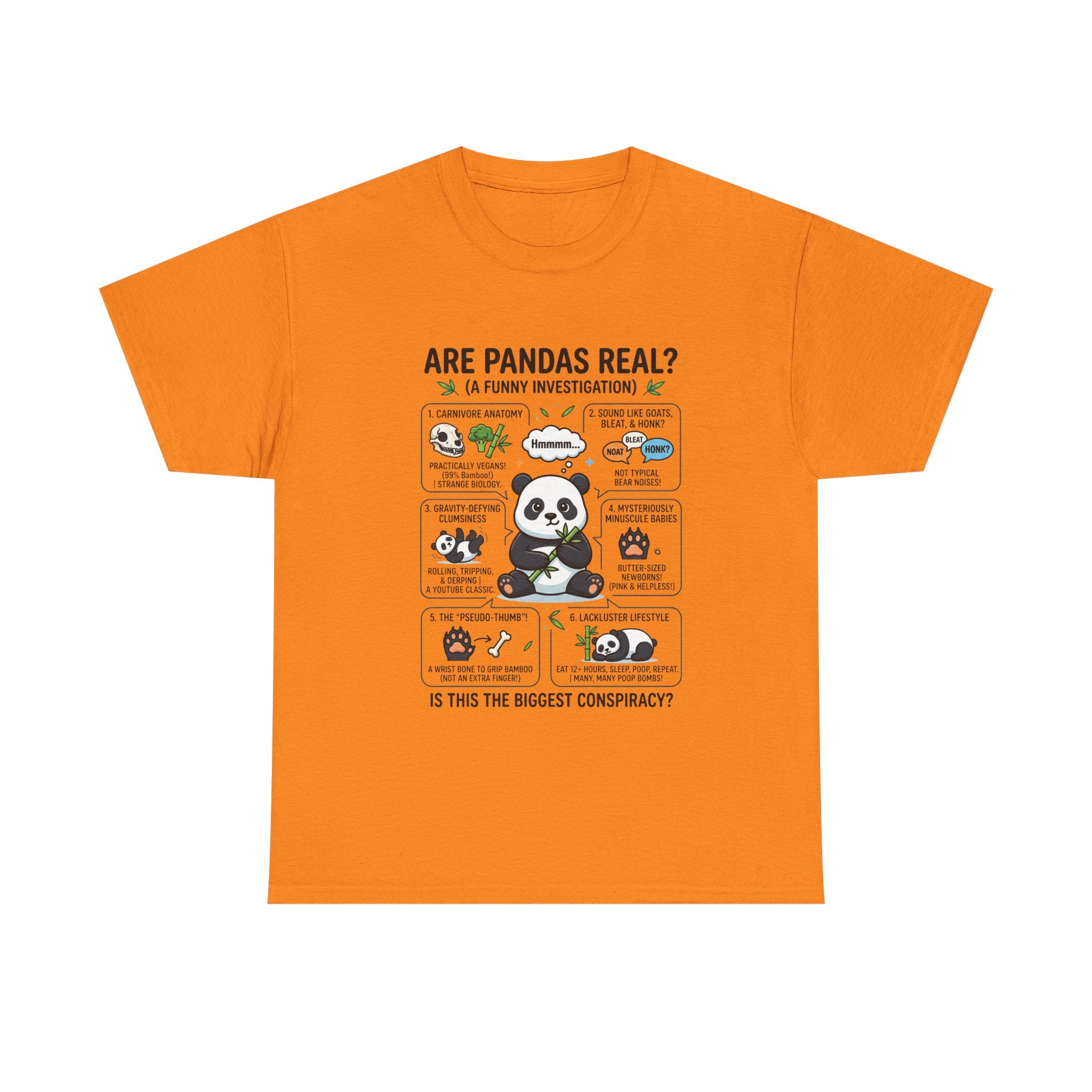 Are Pandas Real? Funny Panda Infographic T-Shirt
