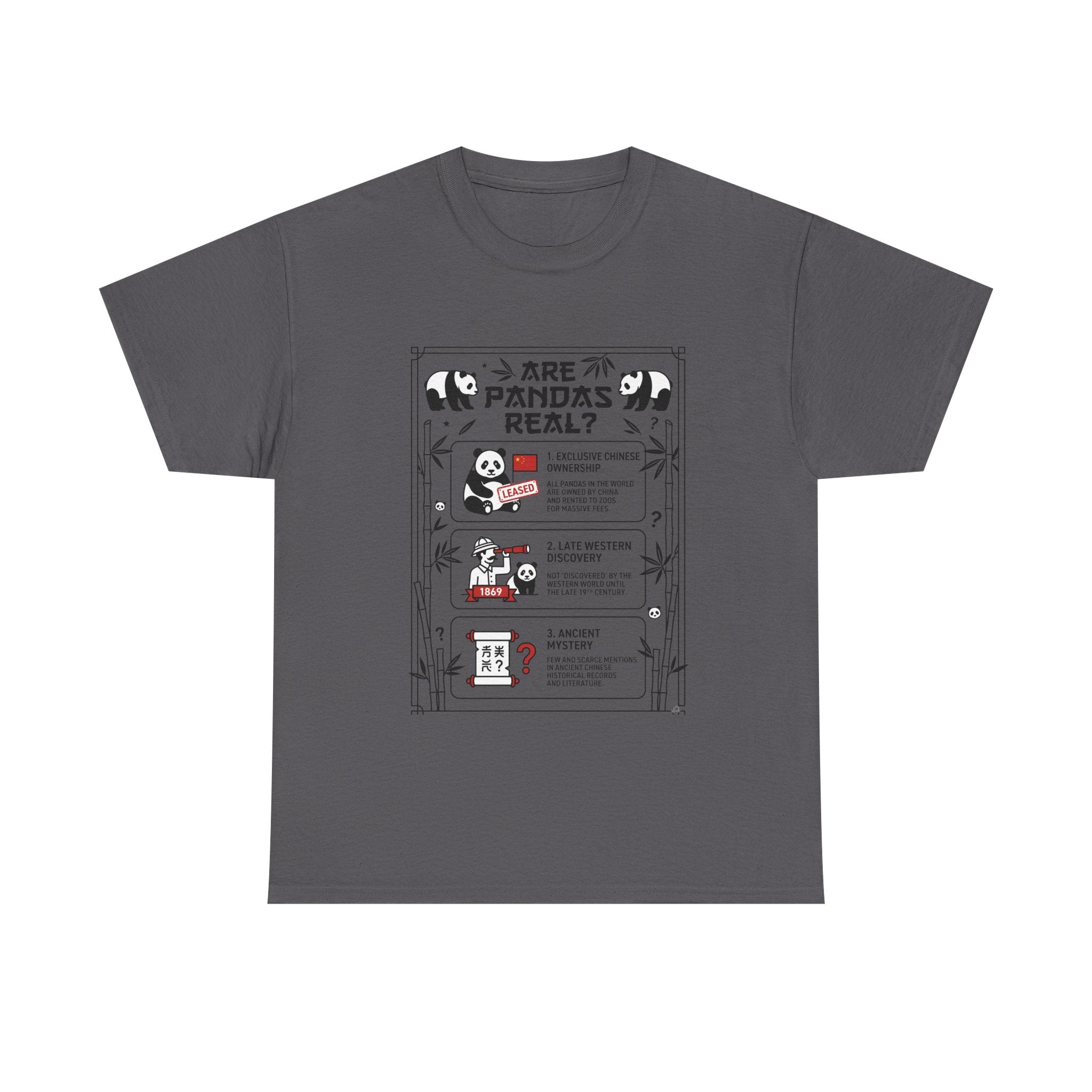 Are Pandas Real? Illustrated Infographic Tee - Funny Panda Facts T-Shirt