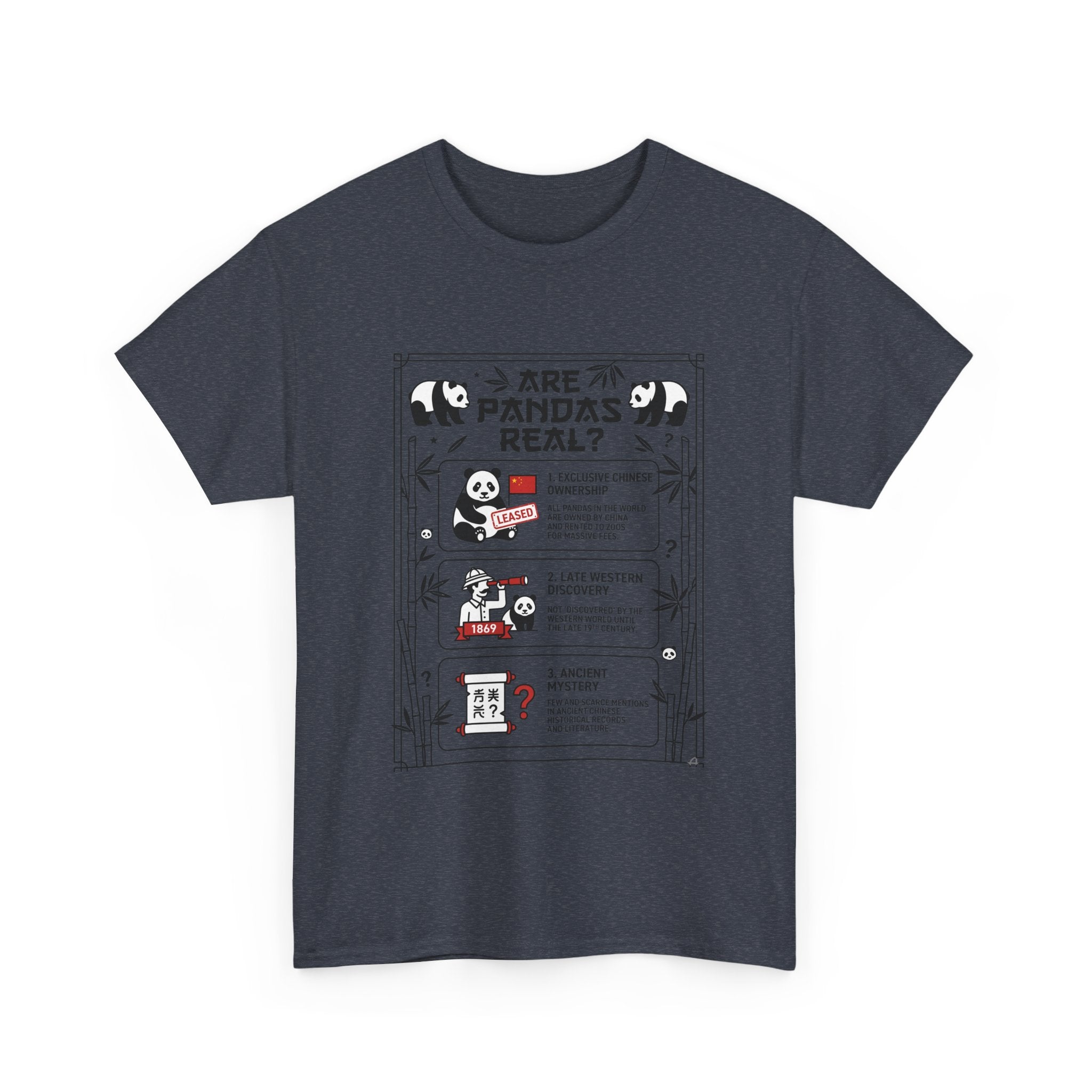 Are Pandas Real? Illustrated Infographic Tee - Funny Panda Facts T-Shirt