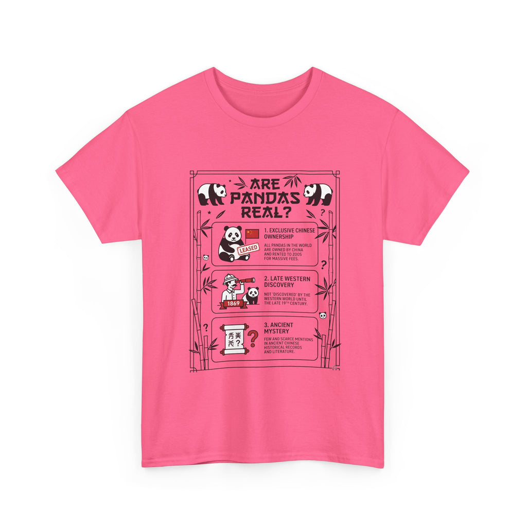 Are Pandas Real? Illustrated Infographic Tee - Funny Panda Facts T-Shirt