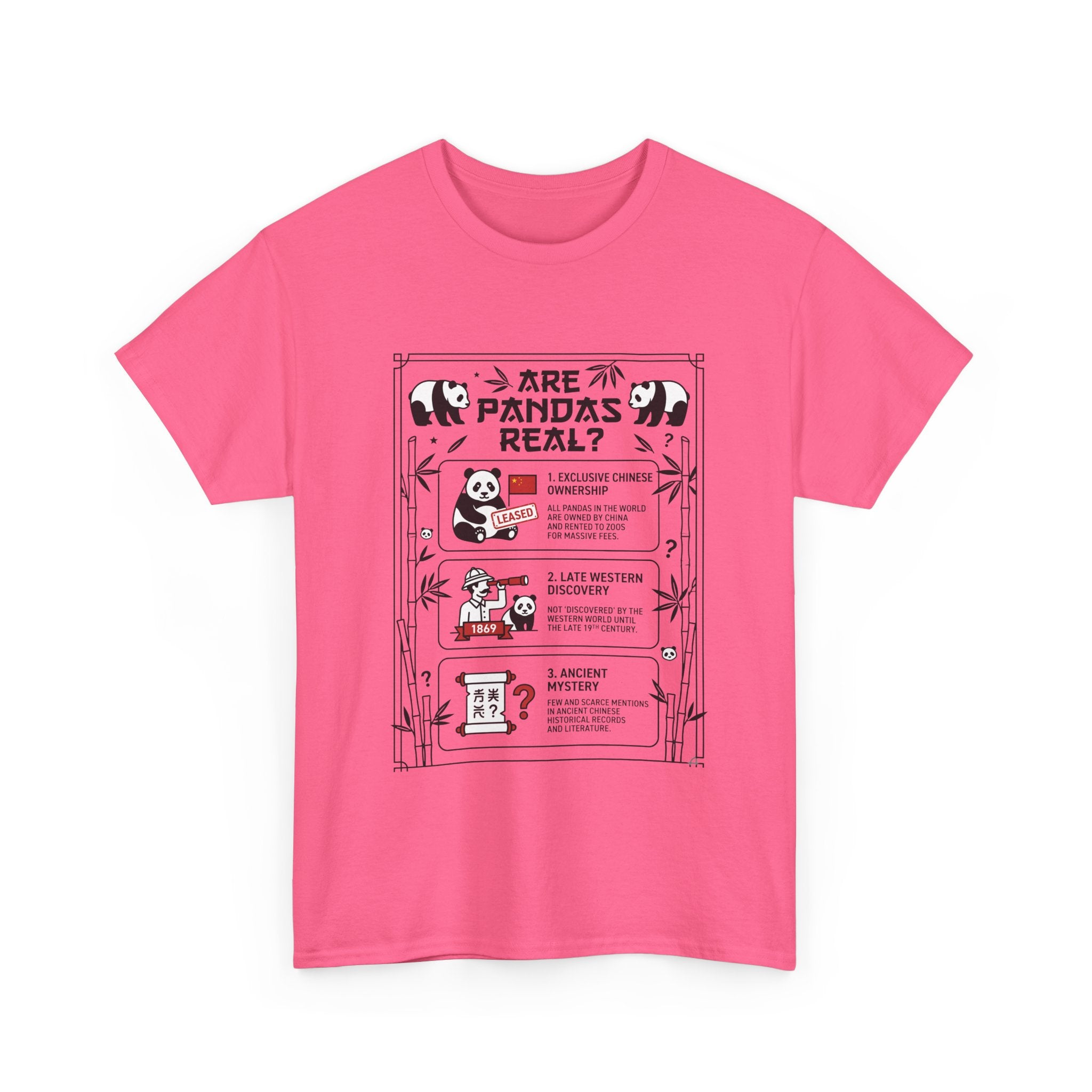 Are Pandas Real? Illustrated Infographic Tee - Funny Panda Facts T-Shirt